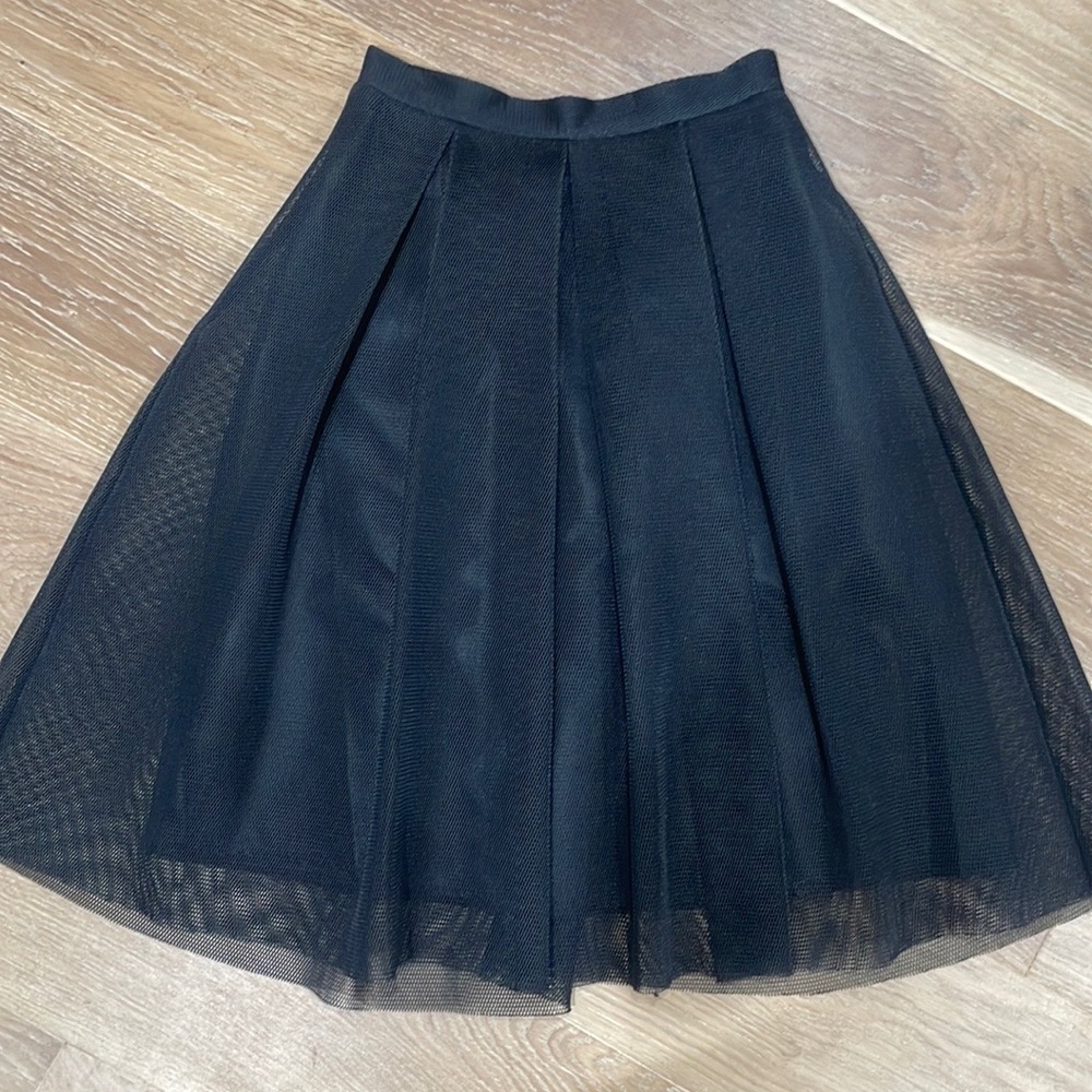 Black mesh aqua midi skirt
